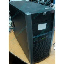 Двухядерный сервер HP Proliant ML310 G5p 515867-421 Core 2 Duo E8400 фото (Екатеринбург)