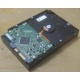 Жесткий диск HP 250Gb 7200 rpm 432337-001/ 399699-001 / 397377-004 (Екатеринбург)