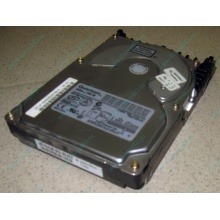 Жесткий диск 18.4Gb Quantum Atlas 10K III U160 SCSI 80 pin (Екатеринбург)