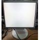 Монитор 17" TFT Nec MultiSync LCD175VXM+ бело-серебристый (Екатеринбург)