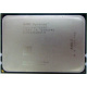 AMD Opteron 6128 OS6128WKT8EGO (Екатеринбург)